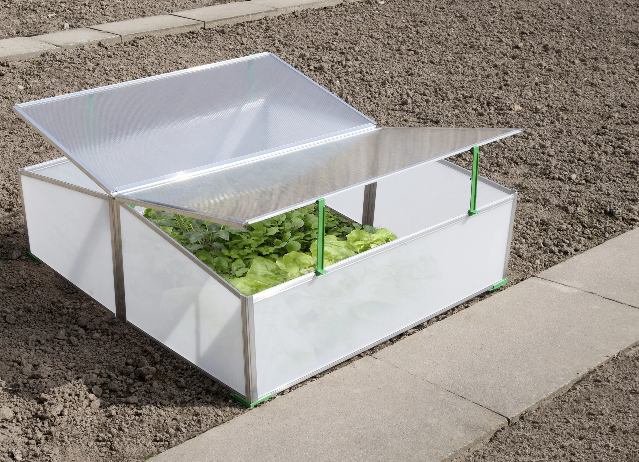 Gutta Frühbeet 2-fach 100x120x40x31 Cm 3 Gutta Frühbeet 2-fach 100x120x40x31 Cm