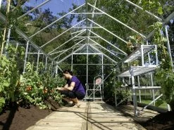 Vitavia Gewächshaus Mars 9900 254 X 379 Cm Aluminium 3 Mm Sicherheitsglas