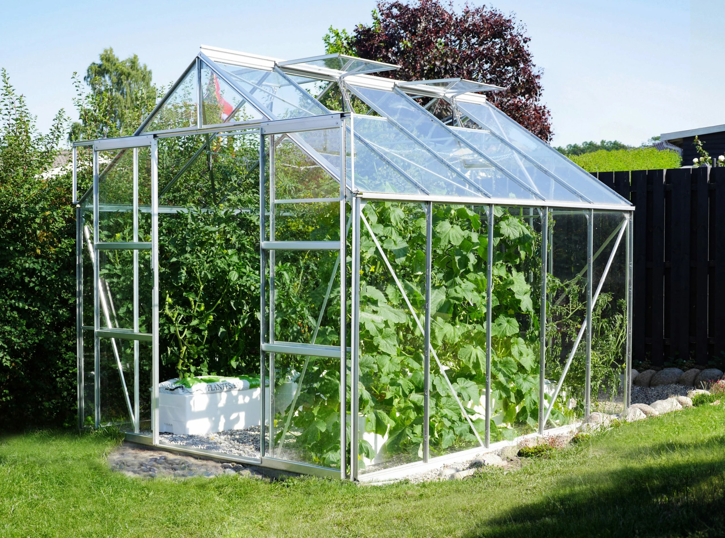 Vitavia Gewächshaus Uranus 8300 254 X 317 Cm Aluminium 3 Mm Sicherheitsglas 5 Vitavia Gewächshaus Uranus 8300 254 X 317 Cm Aluminium 3 Mm Sicherheitsglas – Bild 3