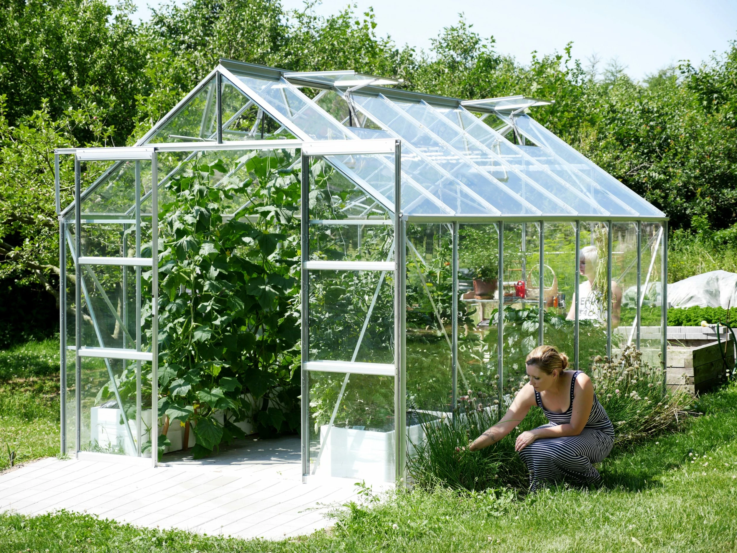 Vitavia Gewächshaus Uranus 11500 254 X 441 Cm Aluminium 3 Mm Sicherheitsglas 5 Vitavia Gewächshaus Uranus 11500 254 X 441 Cm Aluminium 3 Mm Sicherheitsglas – Bild 3