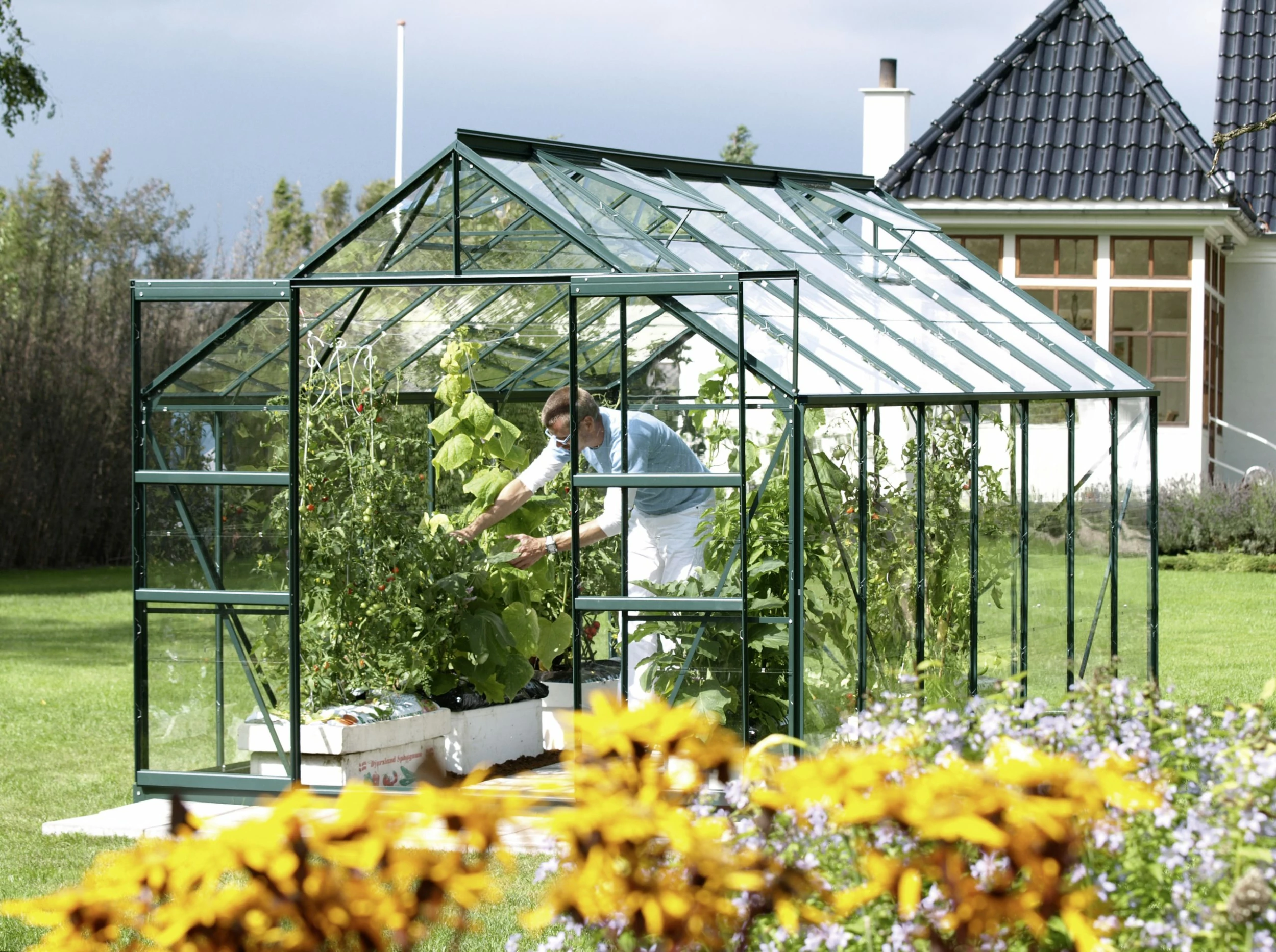 Vitavia Gewächshaus Mars 11500 445 X 257 Cm Smaragd 3 Mm Sicherheitsglas 3 Vitavia Gewächshaus Mars 11500 445 X 257 Cm Smaragd 3 Mm Sicherheitsglas