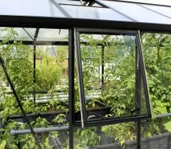 Vitavia Seitenfenster Z Zu Gewächshaus Zeus Schwarz