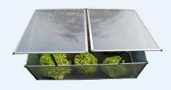 TrendLine Frühbeet 100 X 60 X 30 Cm