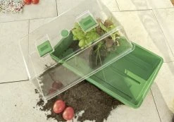 Floraworld Indoor-Gewächshaus Grün 38 X 24 X 18,5 Cm