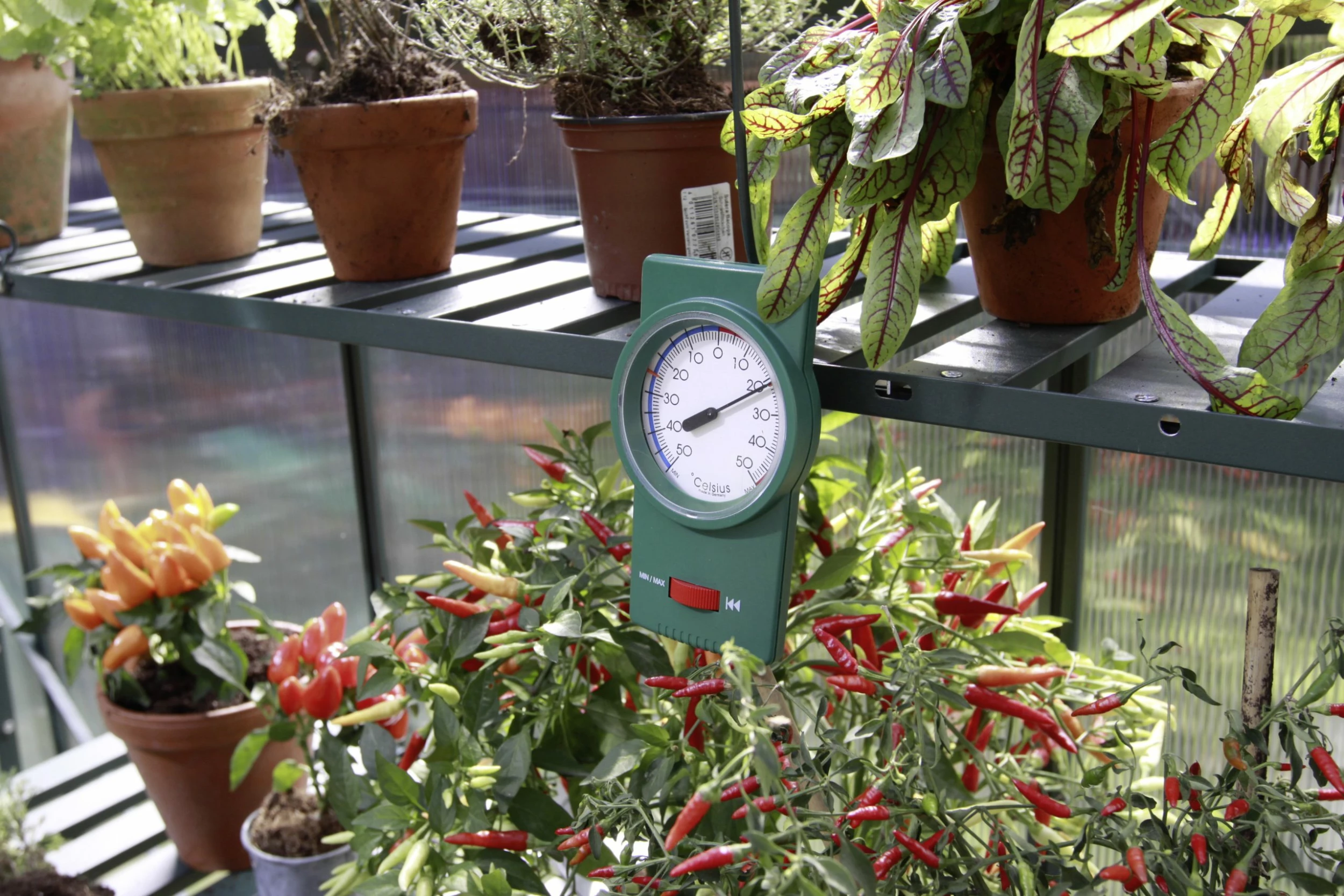 Vitavia Min-Max -Thermometer 4 Vitavia Min-Max -Thermometer – Bild 2