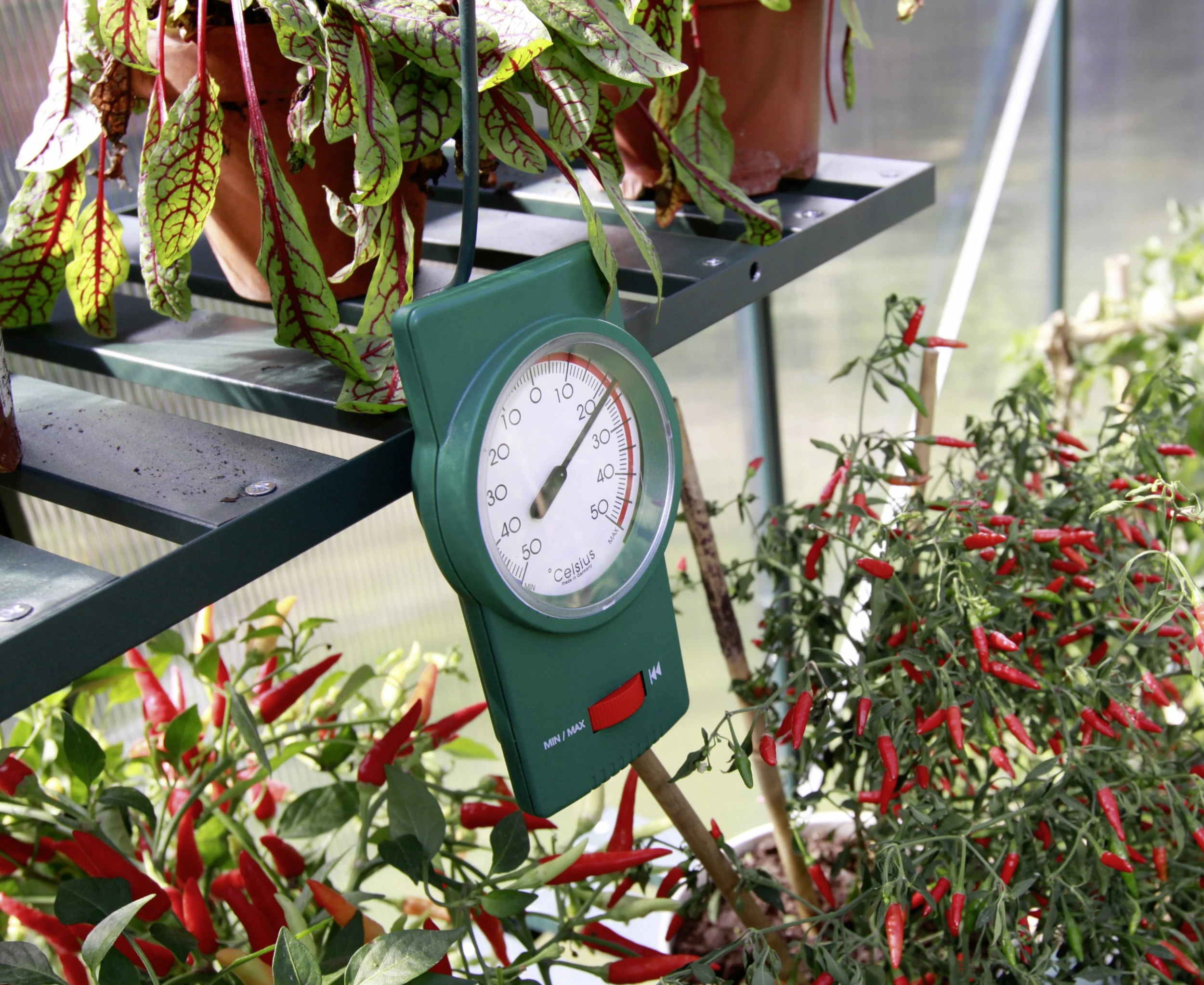 Vitavia Min-Max -Thermometer 3 Vitavia Min-Max -Thermometer