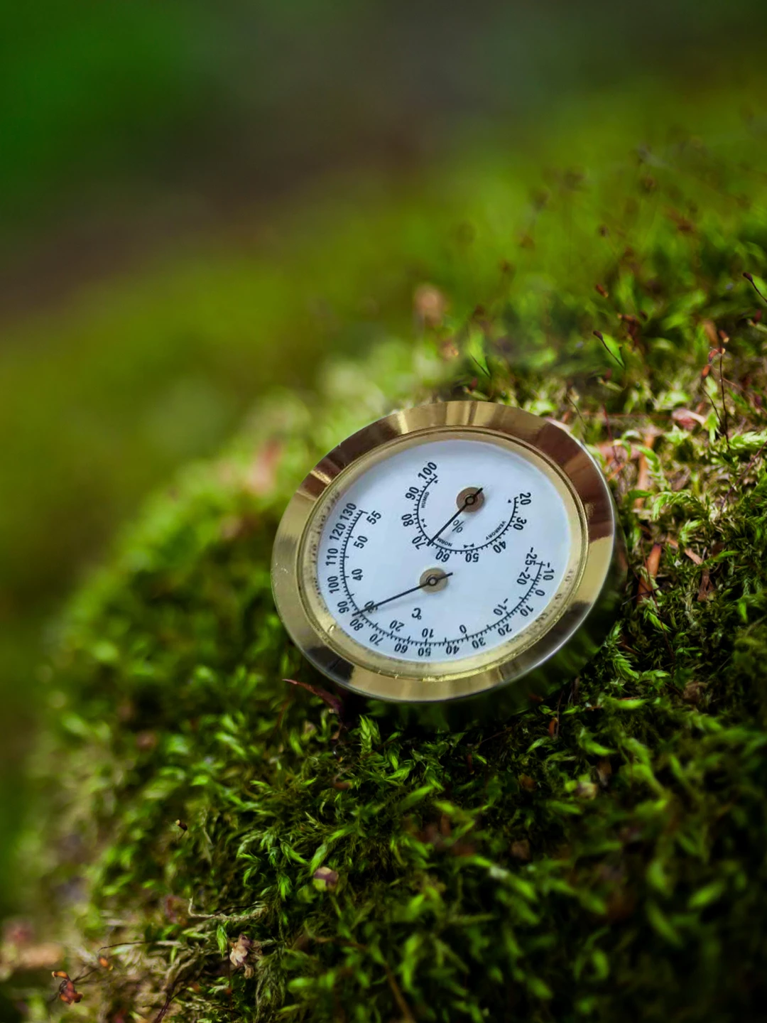 Vitavia Hygrometer 3 Vitavia Hygrometer