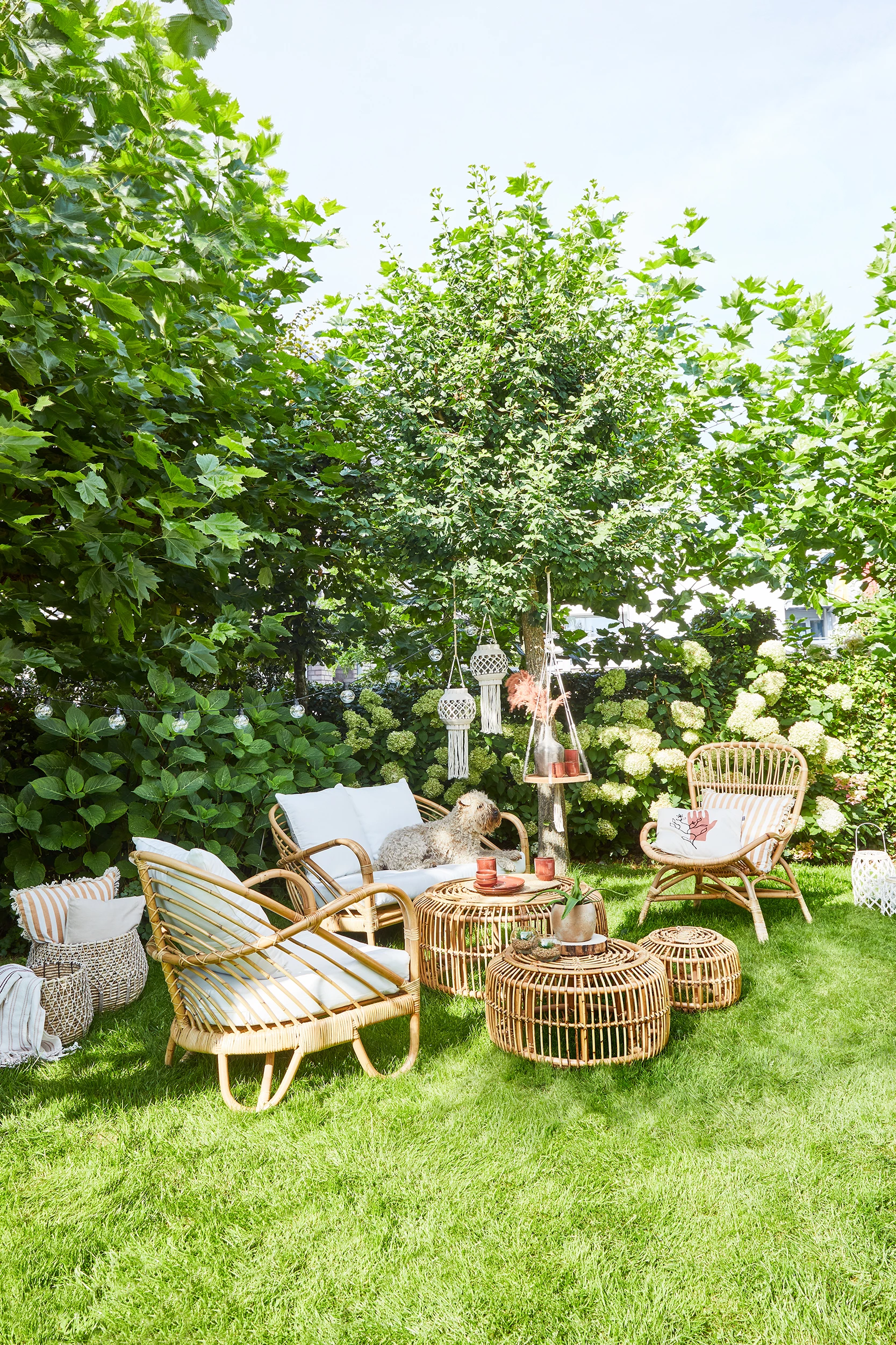 Mica Decorations Mica Stuhl Rochester Mit Kissen 80 X 75 X 75 Cm 6 Mica Decorations Mica Stuhl Rochester Mit Kissen 80 X 75 X 75 Cm – Bild 4