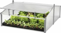 Juwel Frühbeet Easy Fix 100 X 60 Cm