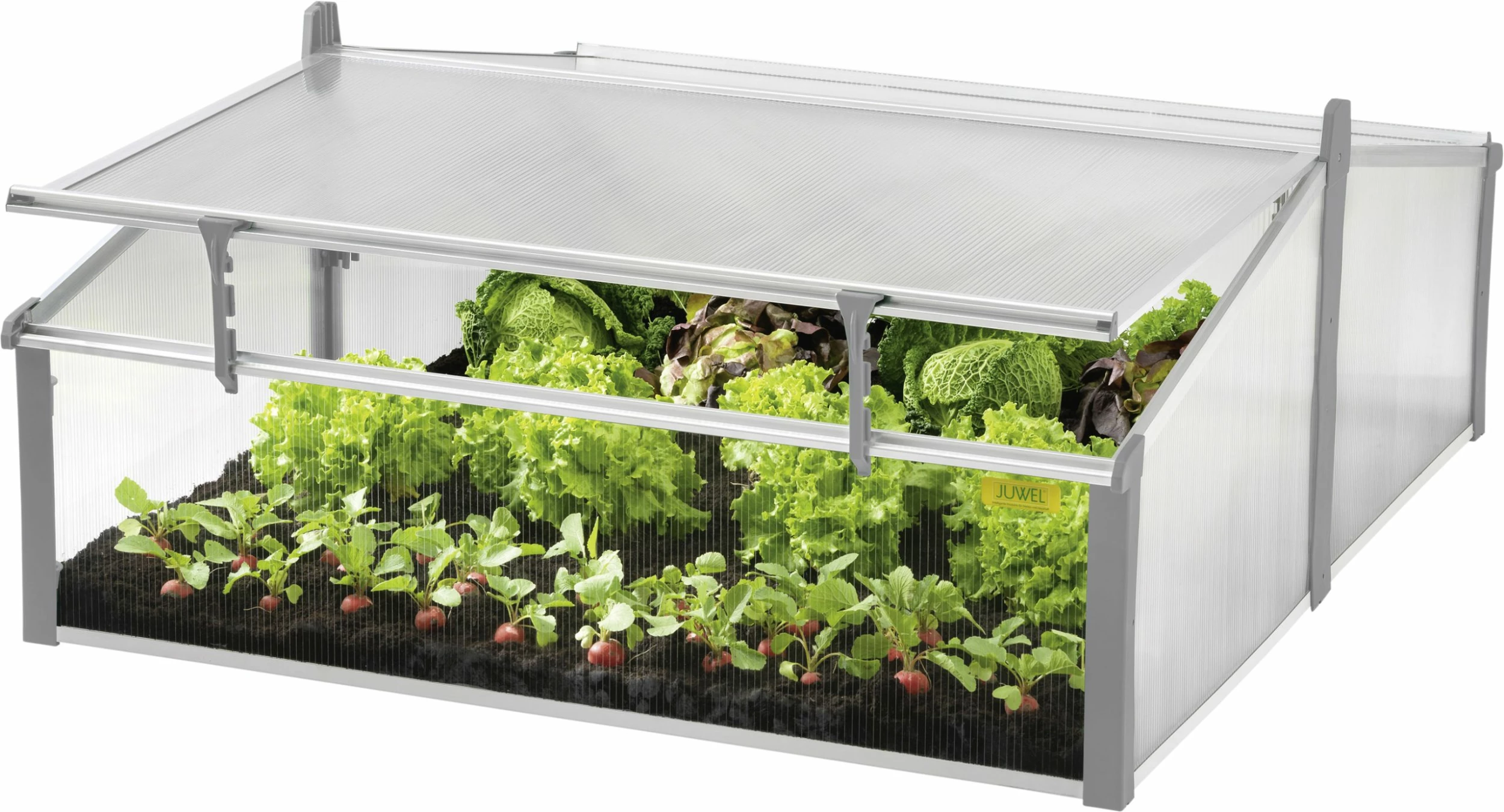 Juwel Frühbeet Easy Fix 100 X 60 Cm 3 Juwel Frühbeet Easy Fix 100 X 60 Cm