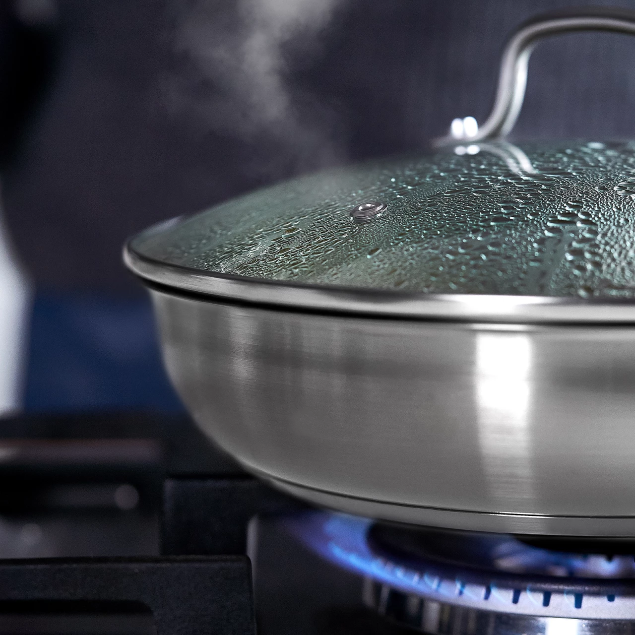 Springlane Edelstahl Bratpfanne — 24cm Mit Glasdeckel 6 Springlane Edelstahl Bratpfanne — 24cm Mit Glasdeckel – Bild 4